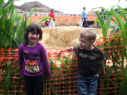 2010 Pumpkin Patch